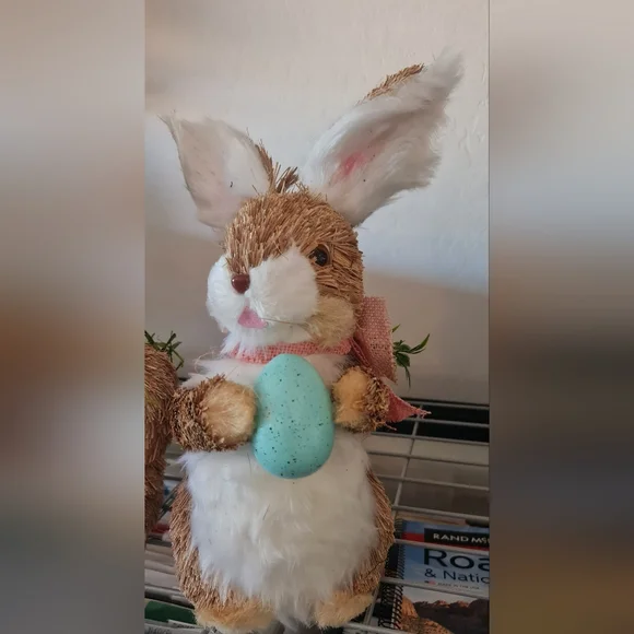 Michaels Sisal Bunny by Ashland Set/2 Carrot & Egg - White Fake Fur - EUC - Picture 6 of 6